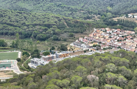 Bosc del Maresme