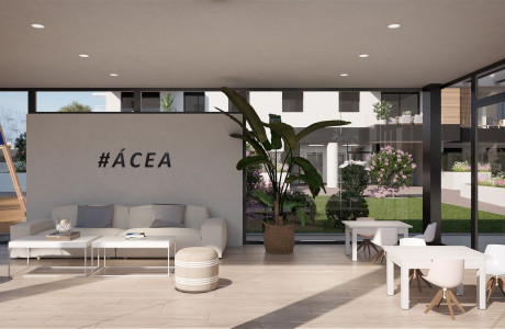 Acea