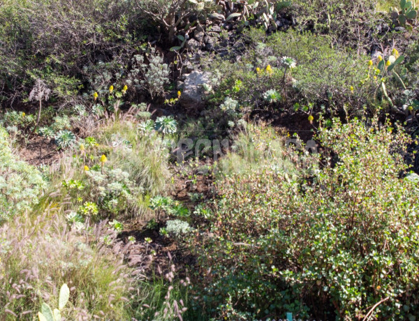 Terreno en venta en calle Laurisilva