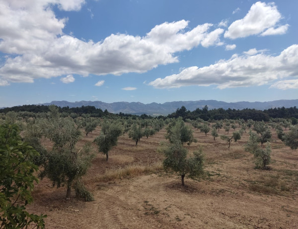 Terreno en venta en carretera Valderrobles s/n