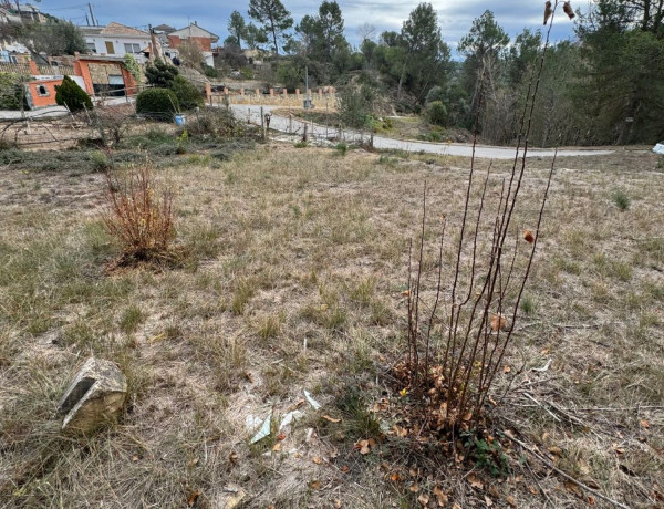 Terreno en venta en calle dels Til.lers s/n