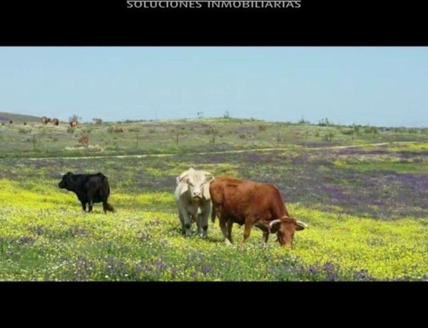 Terreno en venta en Villafranca de los Barros