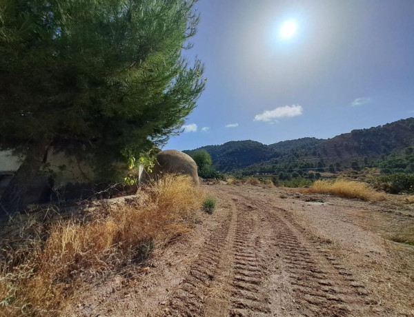 Finca rústica en venta en Las Majadas-Las Molinetas-Labradorcico