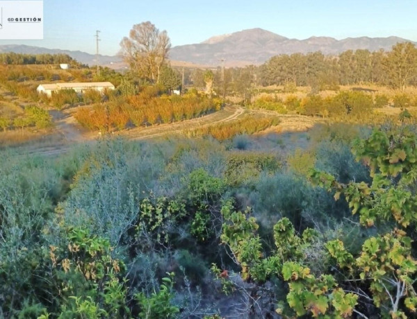 Finca rústica en venta en Vía