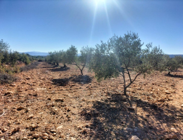 Terreno en venta en Navarrés