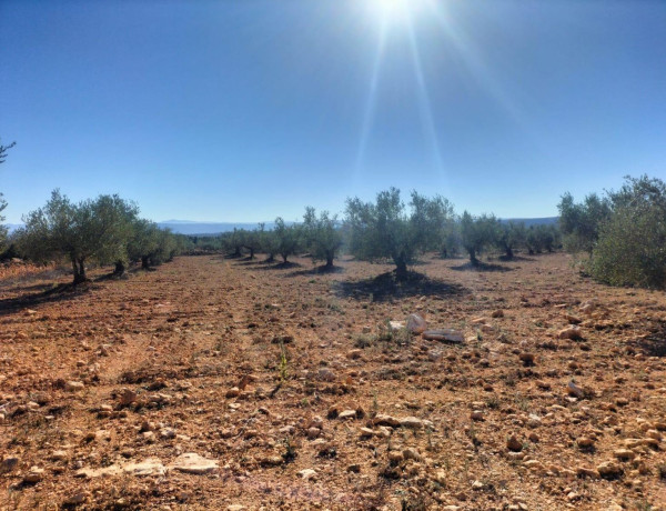 Terreno en venta en Navarrés