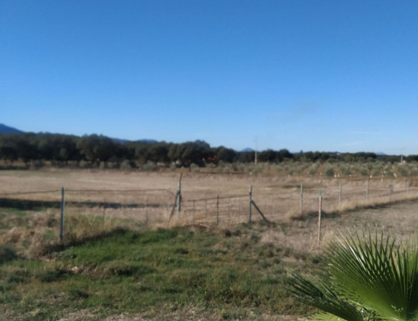 Finca rústica en venta en Poligono 5, 911