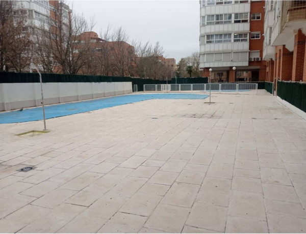 Alquiler de Piso en avenida Descubrimientos