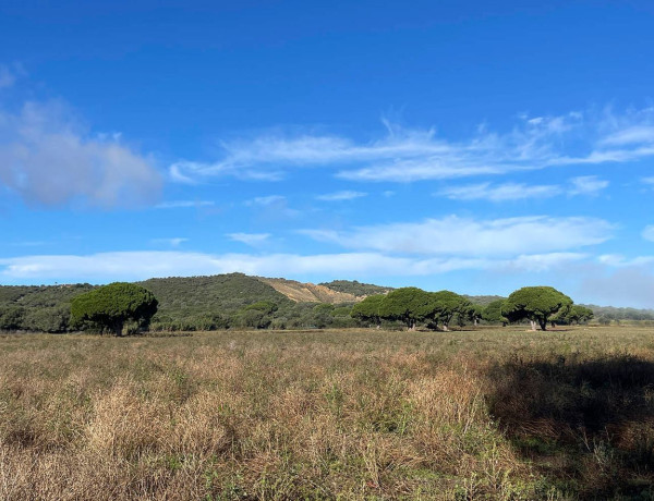 Terreno en venta en carretera Medina-Benalup s/n