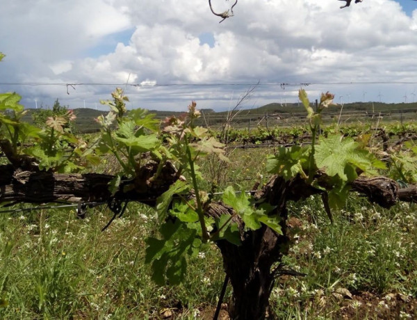 Terreno en venta en L'Ametlla de Mar