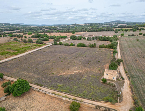 Terreno en venta en Manacor Centro