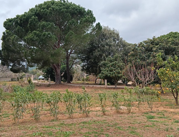 Alquiler de Finca rústica en Pollença