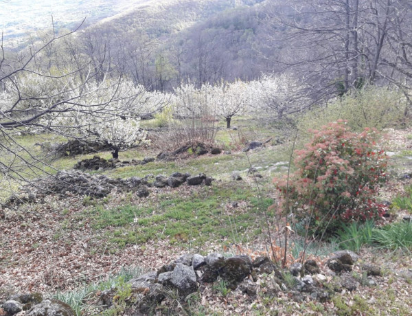 Finca rústica en venta en plaza Garganta la Olla, 1