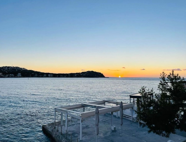 Alquiler de Piso en Urb. Cap Martí, Santa Ponça