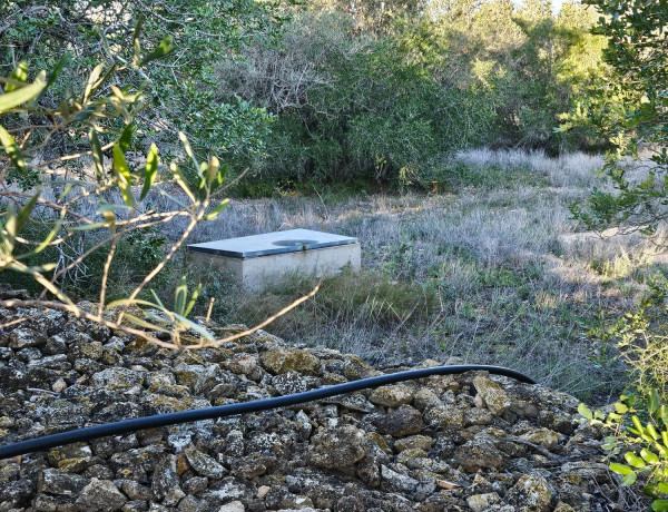 Finca rústica en venta en L'Ametlla de Mar