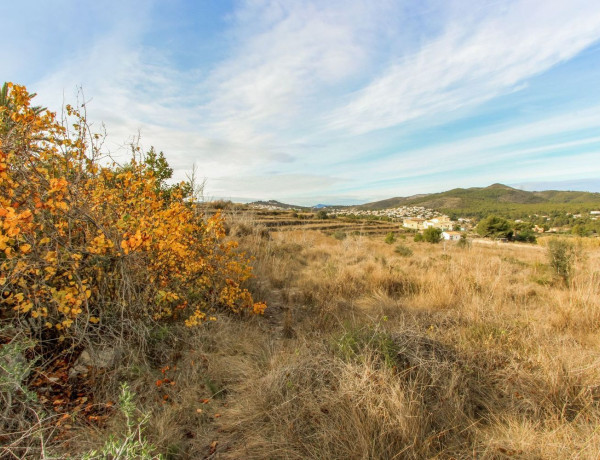 Finca rústica en venta en Partida Comunes-Adsubia