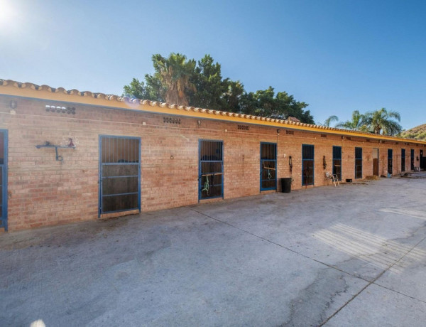 Finca rústica en venta en La Cala Golf - Lagar Martell