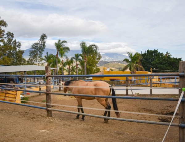 Finca rústica en venta en La Cala Golf - Lagar Martell