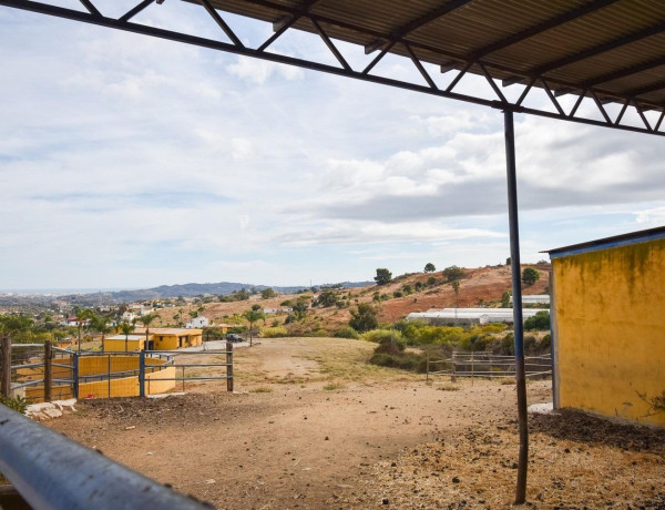 Finca rústica en venta en La Cala Golf - Lagar Martell