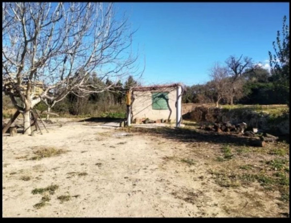 Terreno en venta en camino de Santiago de Levante s/n