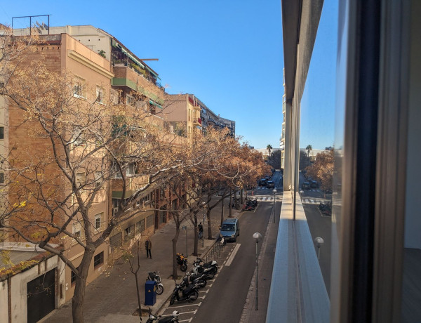 Alquiler de Oficina en calle de Joaquim Molins