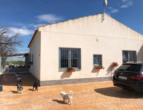 Finca rústica en venta en Callosa de Segura