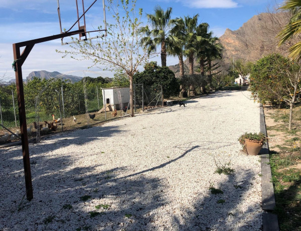 Finca rústica en venta en Callosa de Segura