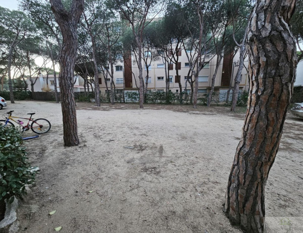 Piso en venta en Platja Llarga