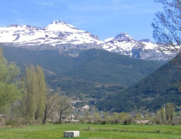 Alquiler de Dúplex en calle de Goya, 3