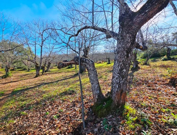 Terreno en venta en Galaroza