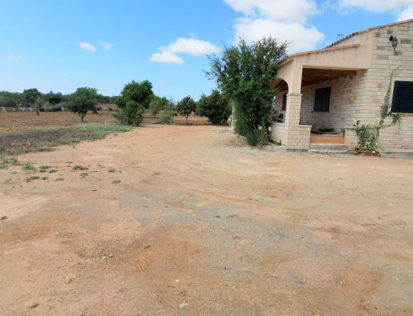 Alquiler de Finca rústica en Urb. s'Estanyol, Llucmajor Interior