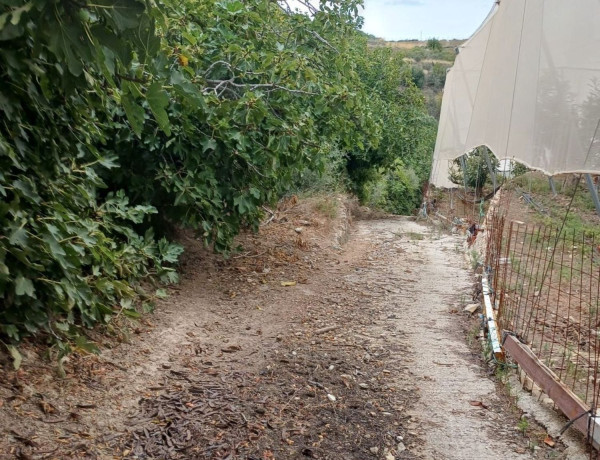 Terreno en venta en Partida Onaer