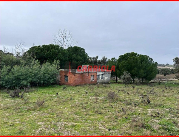 Finca rústica en venta en La Torre de Esteban Hambran