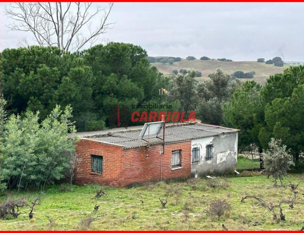 Finca rústica en venta en La Torre de Esteban Hambran