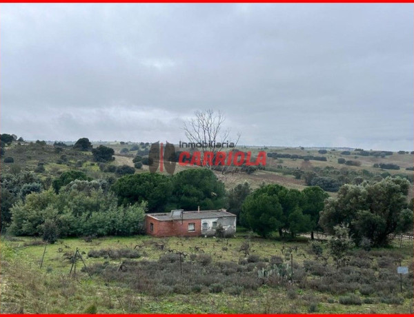 Finca rústica en venta en La Torre de Esteban Hambran