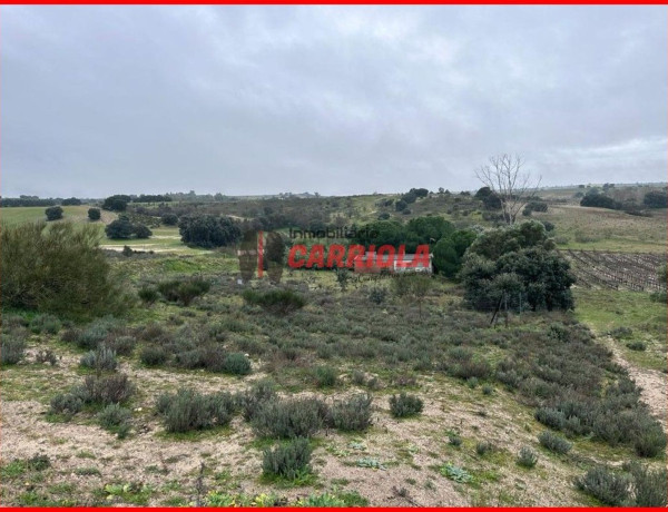 Finca rústica en venta en La Torre de Esteban Hambran