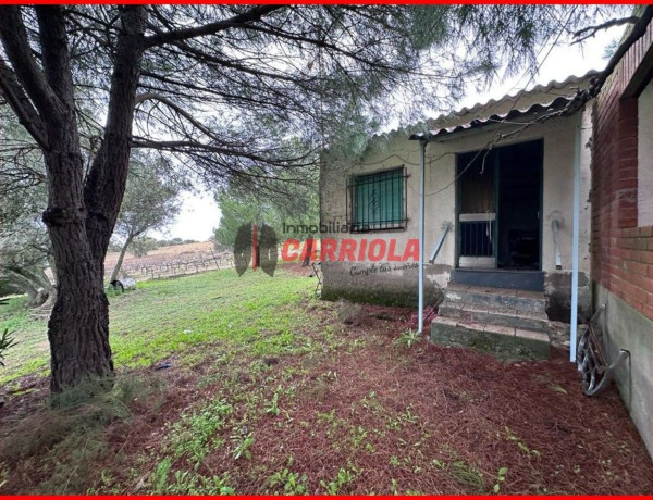 Finca rústica en venta en La Torre de Esteban Hambran