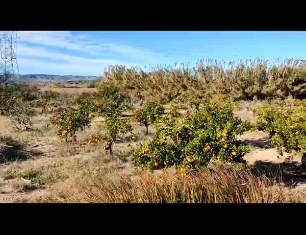 Terreno en venta en Partida del Frontis s/n