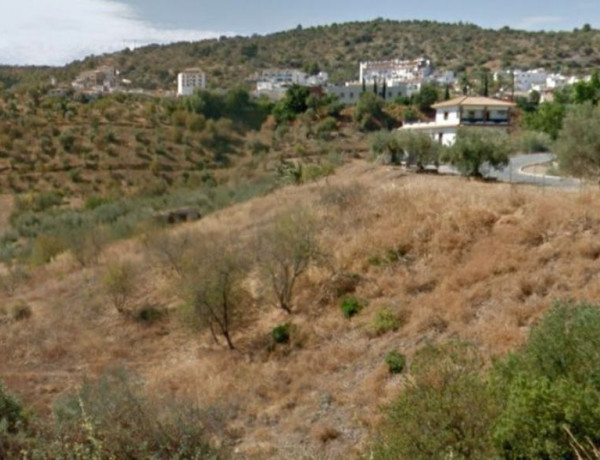 Alquiler de Finca rústica en camino de Guaro s/n