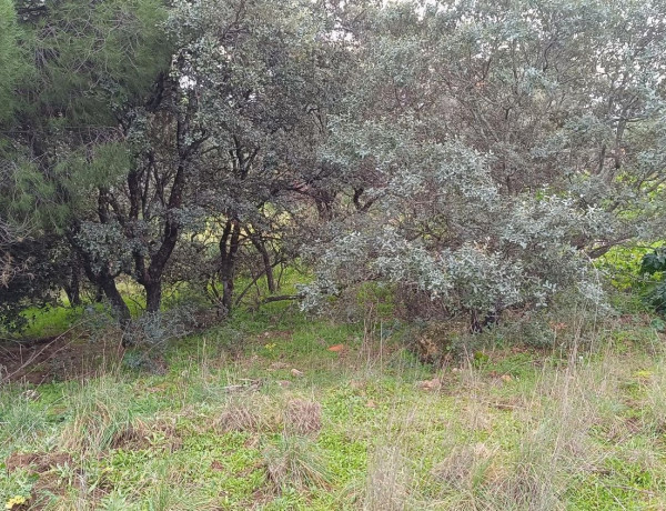 Terreno en venta en Villa del Prado