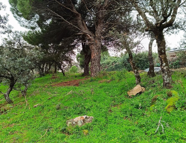 Terreno en venta en Villa del Prado