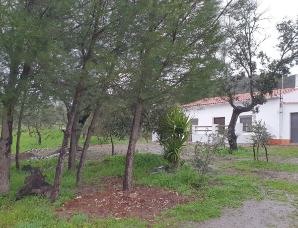 Alquiler de Casa o chalet independiente en Pozoblanco