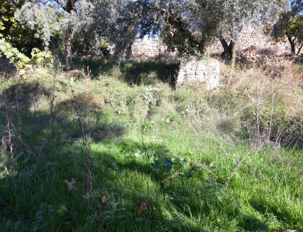 Terreno en venta en calle Carretera