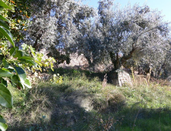 Terreno en venta en calle Carretera