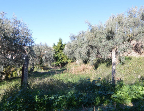 Terreno en venta en calle Carretera