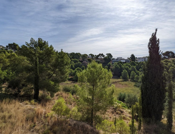 Terreno en venta en calle Principal