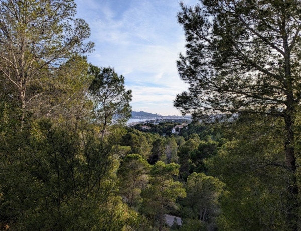 Terreno en venta en calle la Guatla