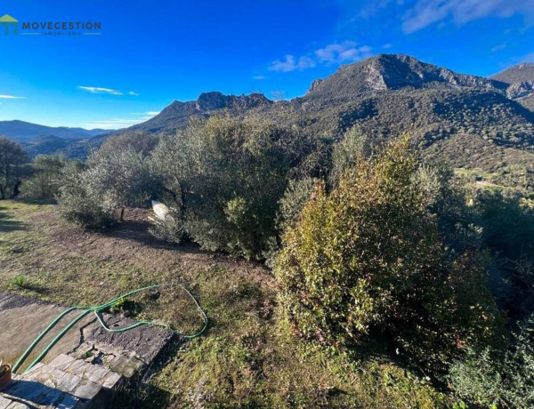 Finca rústica en venta en La Vega