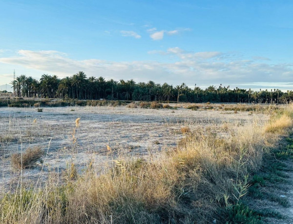 Terreno en venta en Partida Hoya