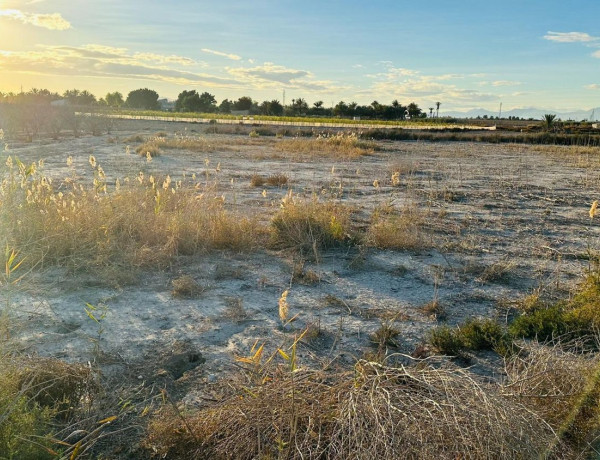 Terreno en venta en Partida Hoya